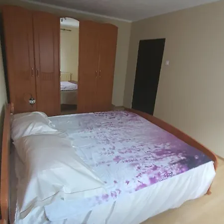 Ferienhaus Francek House Podcetrtek Buce