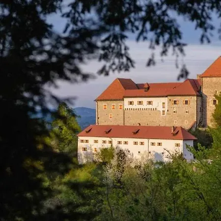 Ferienhaus Francek House Podcetrtek *