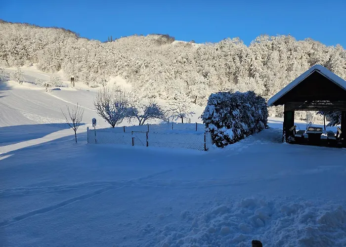 Ferienhaus Francek House Podcetrtek