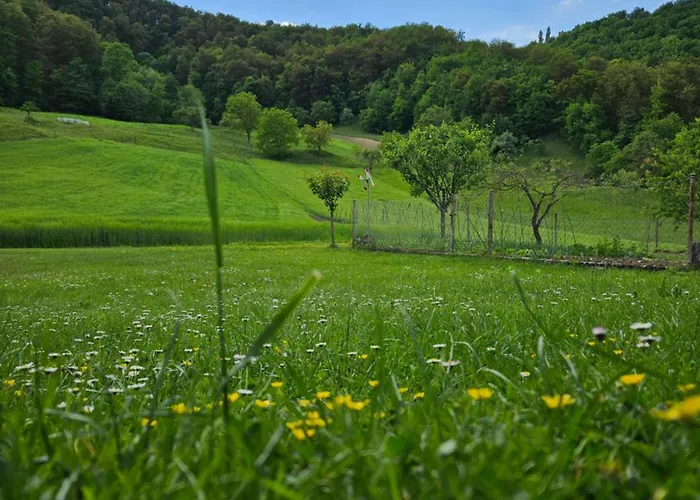 Francek House Podcetrtek Buce