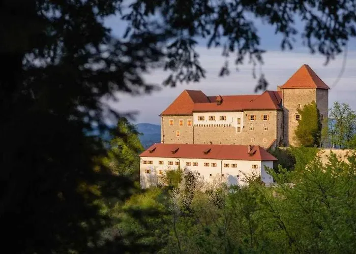 Ferienhaus Francek House Podcetrtek *